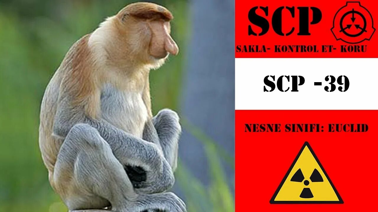Scp 039. Scp 039