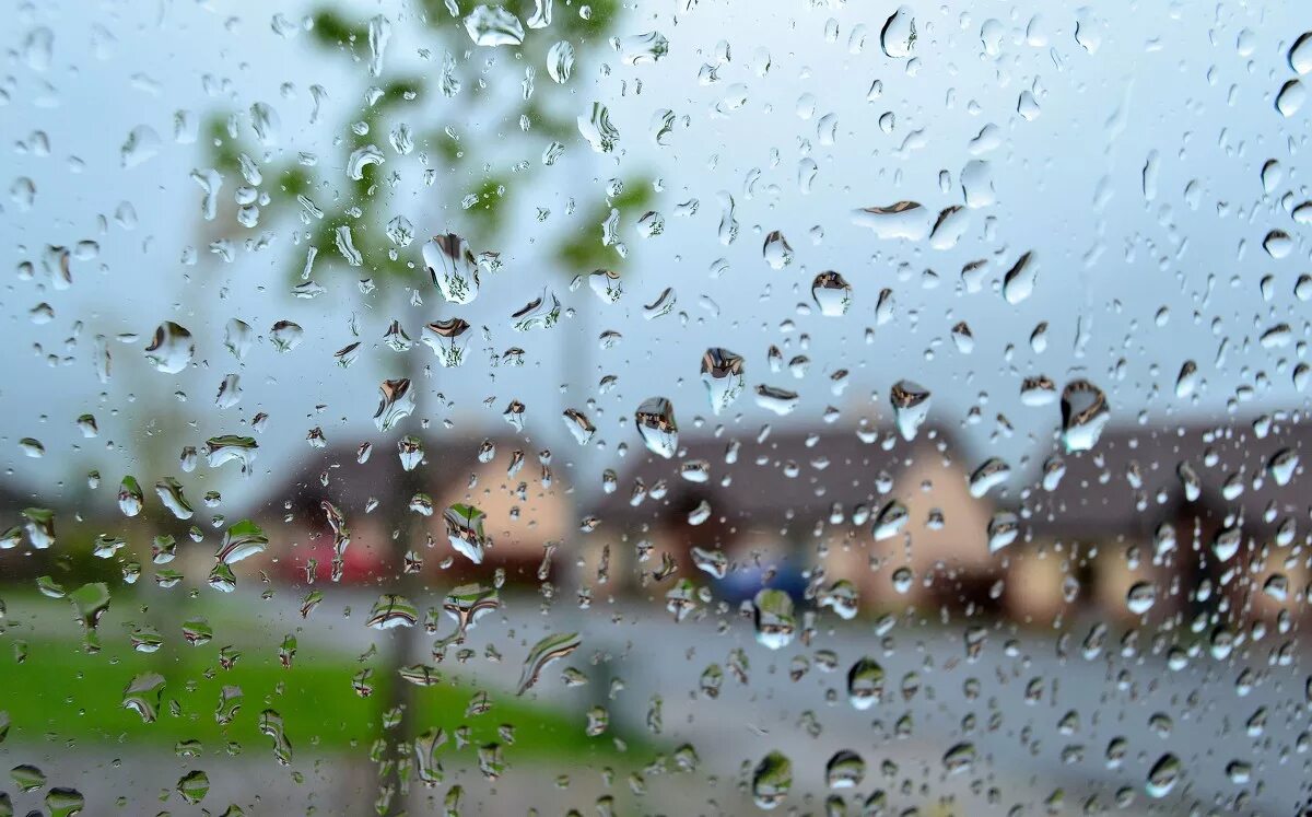 Дождь. Дождь за окном. Лето дождь. Дождь в окне.