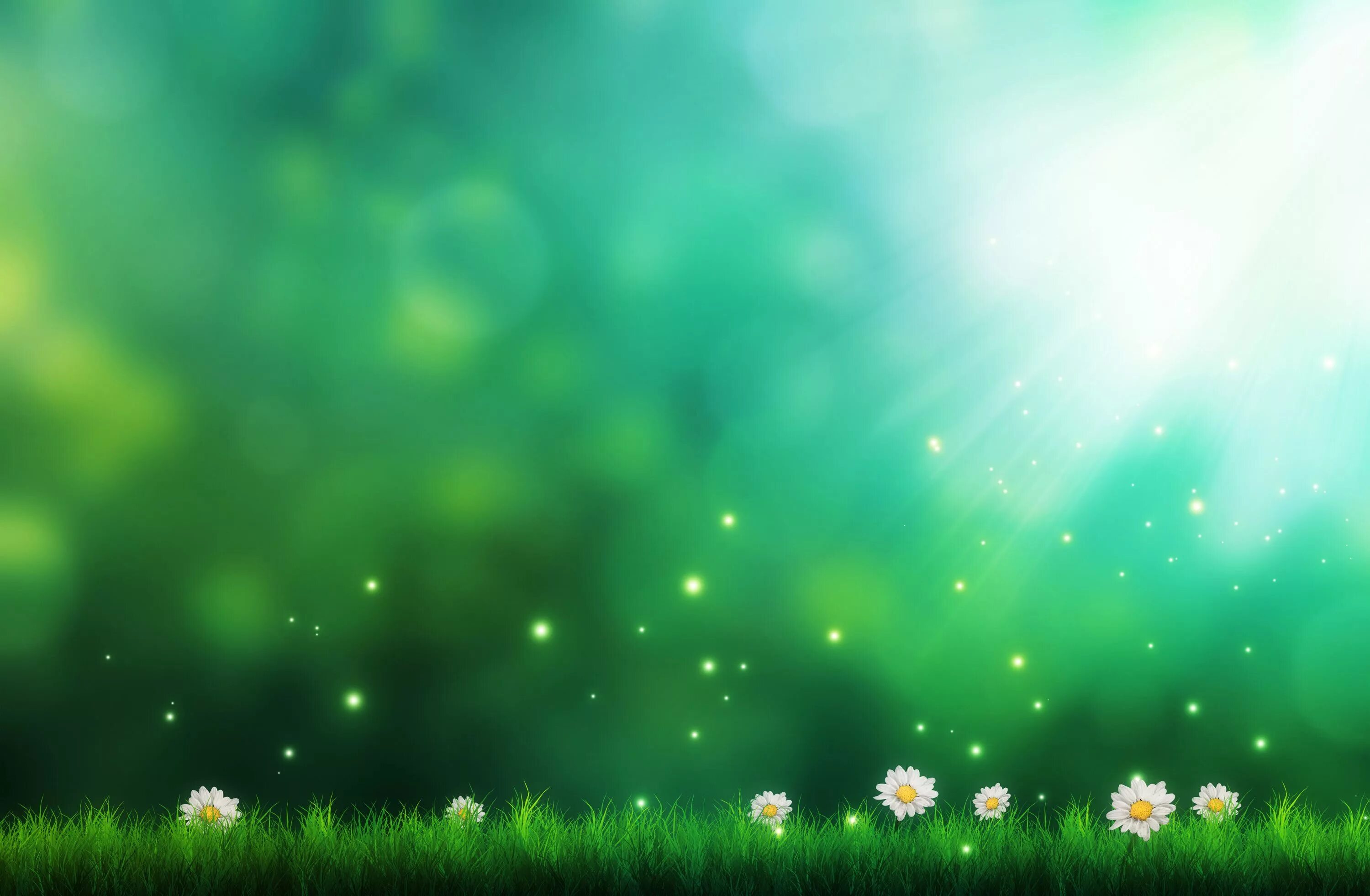 Background image bg
