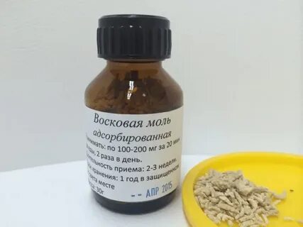 Восковая моль как принимать
