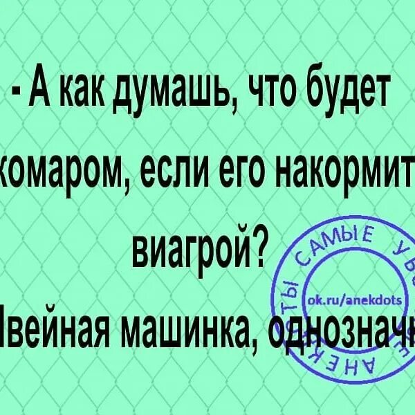 женщины под женской виагре. подсыпал виагру подруге. накормили виагрой. ева бушмина виагра. группа виагра мемы.