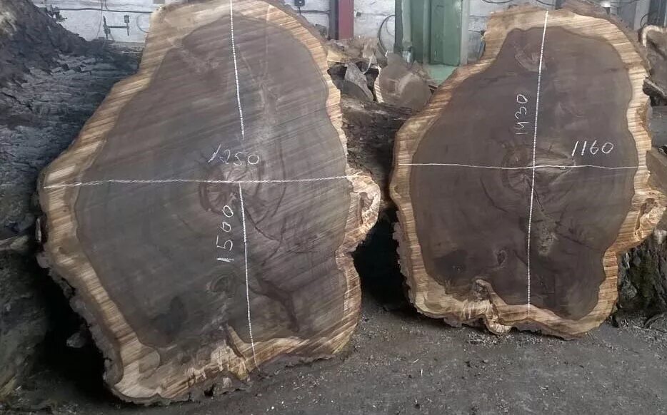 слэб кедр карагач. распил ореха. слэб грецкого ореха. распил ореха. доска из ореха.