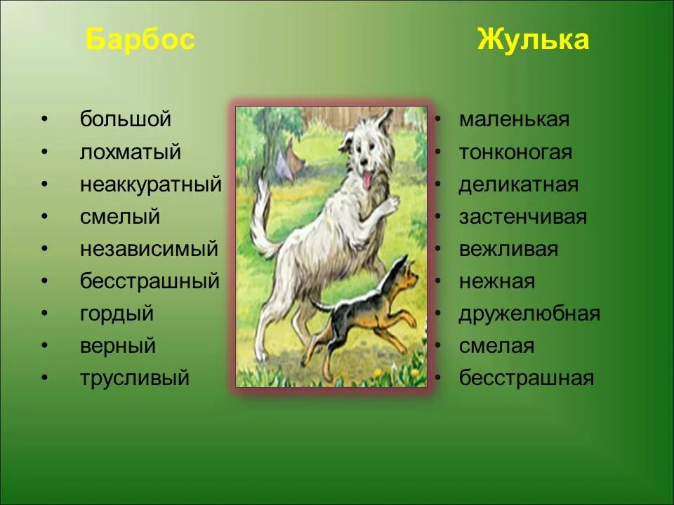 Герой произведения собака. Куприн Барбос и Жулька. Барбос собака из произведения Барбос и Жулька. Жулька Куприн. Описание Барбоса и Жульки.