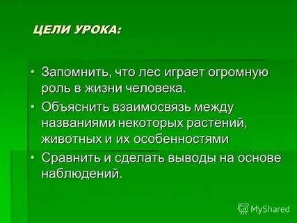Какую роль играет лес в твоей жизни