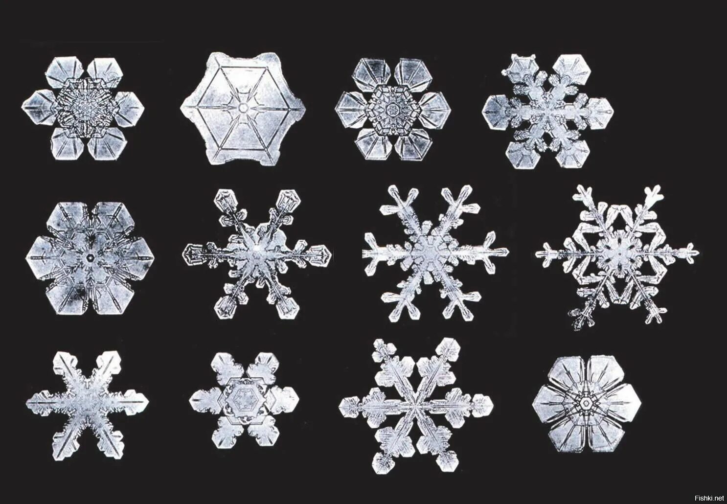 Почему снежинки бывают разные впр 4 класс. Формы снежинок. Разнообразие снежинок. Кристаллы снежинок. Разнообразие форм снежинок.