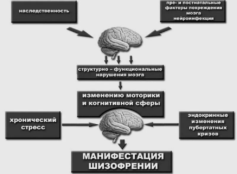 Функциональные изменения мозга