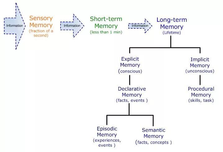 Can of memory. Types of memory. episodic semantic procedural. declarative memory. long short term memory.