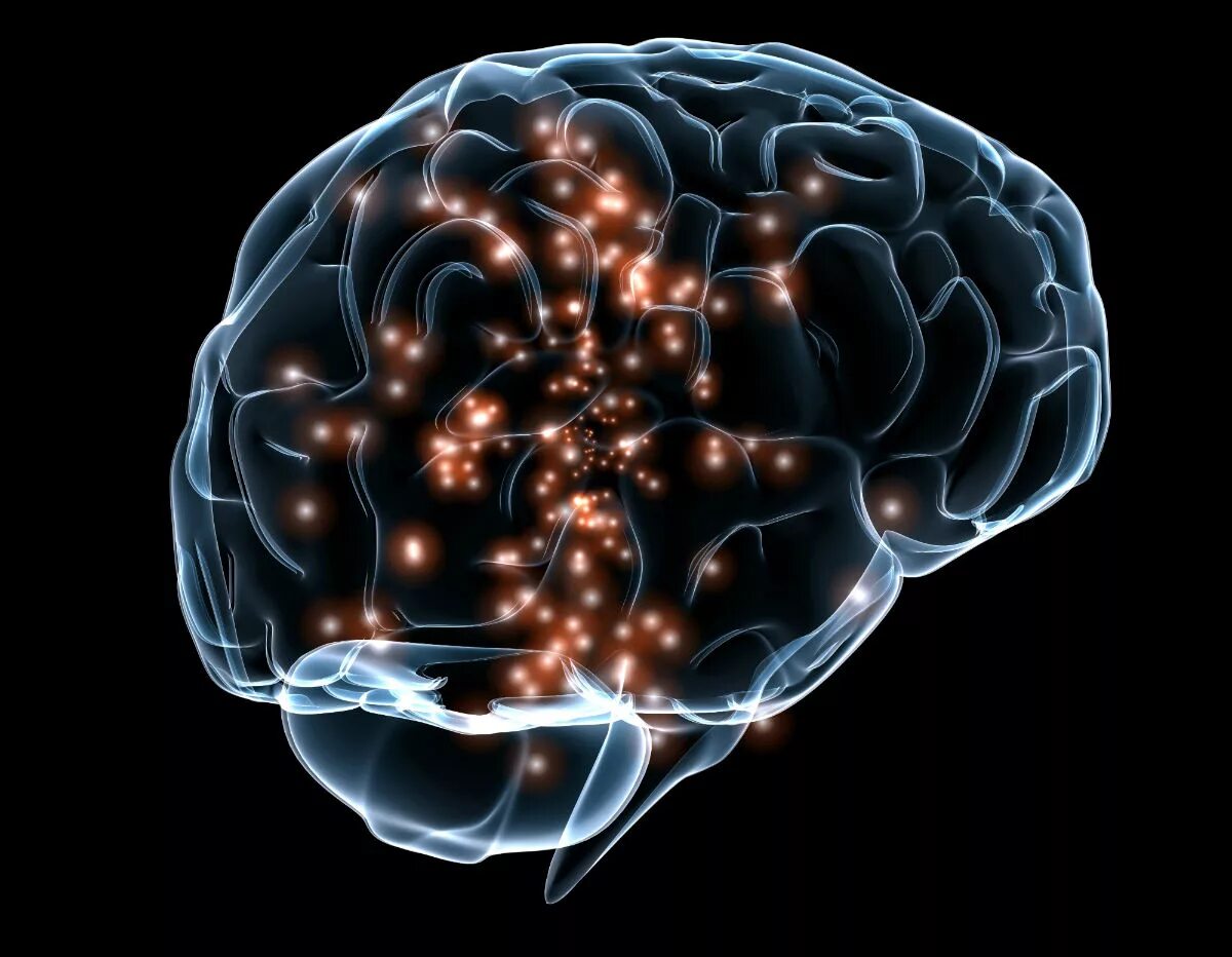 Brain live. Изображение человеческого мозга. Нейрофизиология головного мозга. Визуализация мозга.