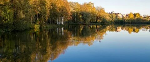 Заречье курская область
