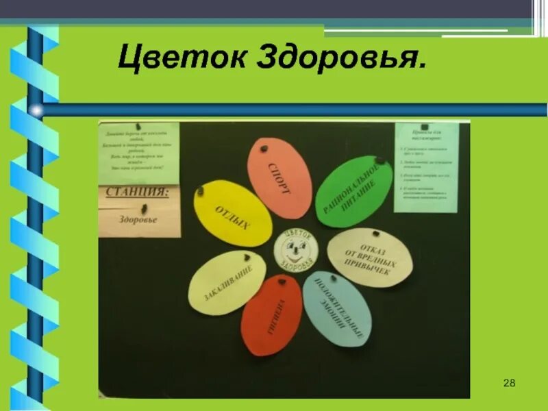 Цветок здоровья в доу. Цветок здоровья. Детский цветок здоровья. Цветок здорового образа жизни. Ромашка здорового образа жизни.