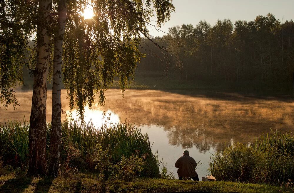 уединение с природой. пейзажи природы. утренний луг. утреннее окно. диктант раннее утро 6 класс.