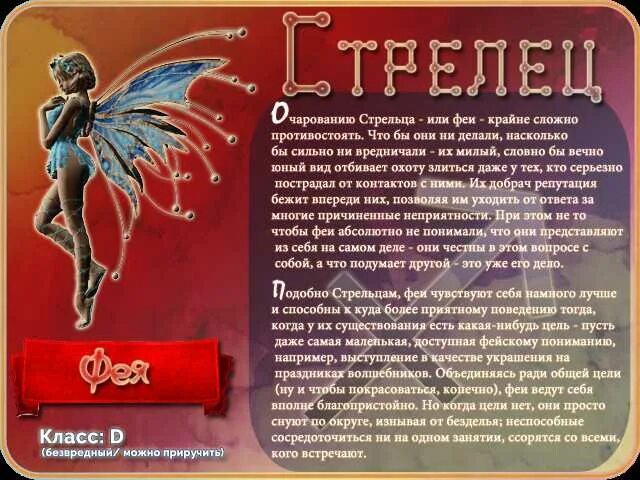 Какой сегодня день у стрельцов