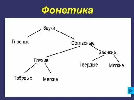 Что такое фонетика и графика