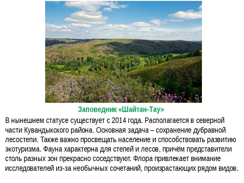 История оренбургской области кратко. Шайтан Тау Оренбургская. Государственный природный заповедник «шайтан-Тау». Шайтан Тау заповедник доклад. Кувандыкский заповедник шайтан Тау.