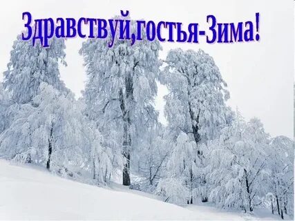 Здравствуй гостья