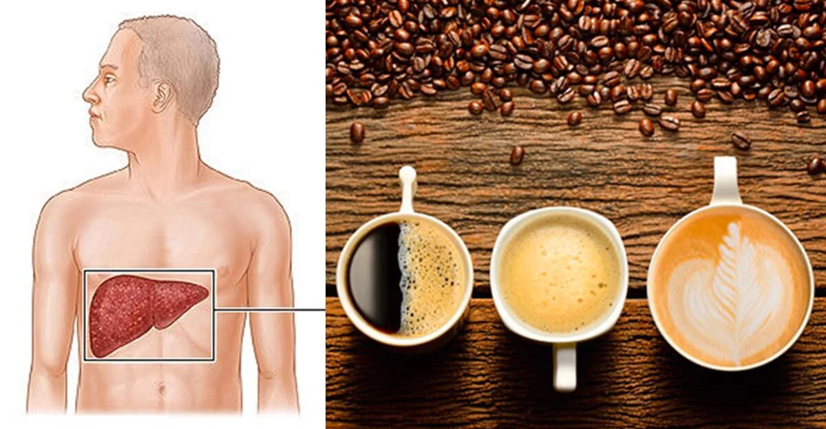 Кофе и печень как влияет. Кофе воздействие на печень. Влияние кофе на организм человека. Печень от кофе. Влияние кофе.