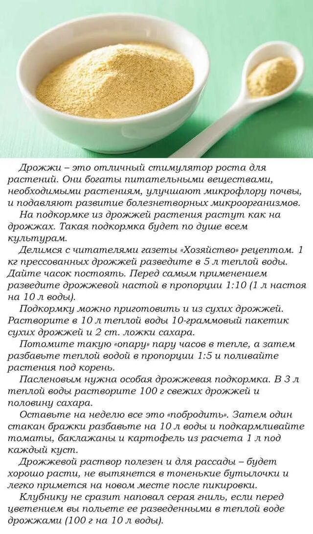 Дрожжевая подкормка для растений. Сухие дрожжи для подкормки растений. Подкормка из сухих дрожжей для растений. Сухие дрожжи для удобрения цветка. Как подкормить рассаду дрожжами сухими