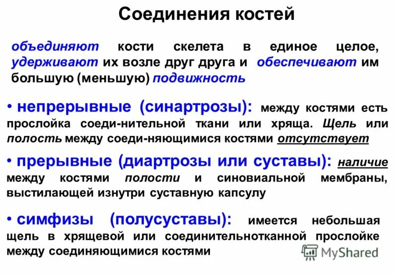 Непрерывное соединение с помощью соединительной ткани. Непрерывное соединение с помощью соединительной ткани