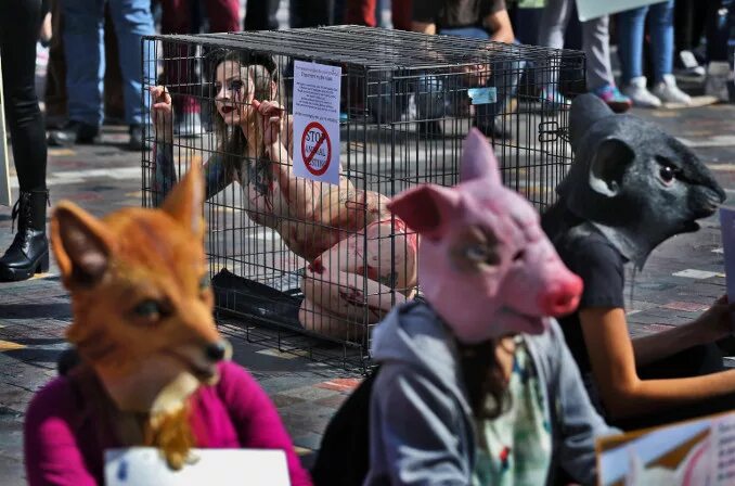 В Москве прошел митинг в защиту животных