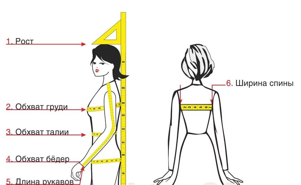 Поясница размер. Снятие мерок ширина груди. Как правильно измерить длину спины. Мерка ширина груди. Правильное снятие мерки ширина груди.