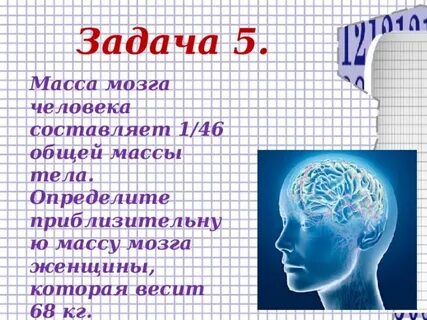 Чел и составила