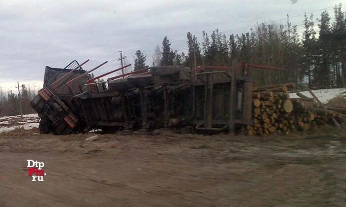 сортиментовоз volvo улк. сегежа групп лесовозы. аварии с лесовозом петрозаводск. лесовоз сегежа. ман лесовоз сегежа групп.