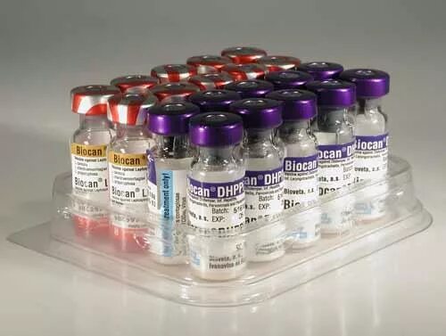 Вакцина для собак l. Вакцина Биокан DHPPI+LR. Вакцина Биокан DHPPI +LR Д/собак. Биокан LR. Биокан DHPPI вакцина для собак.