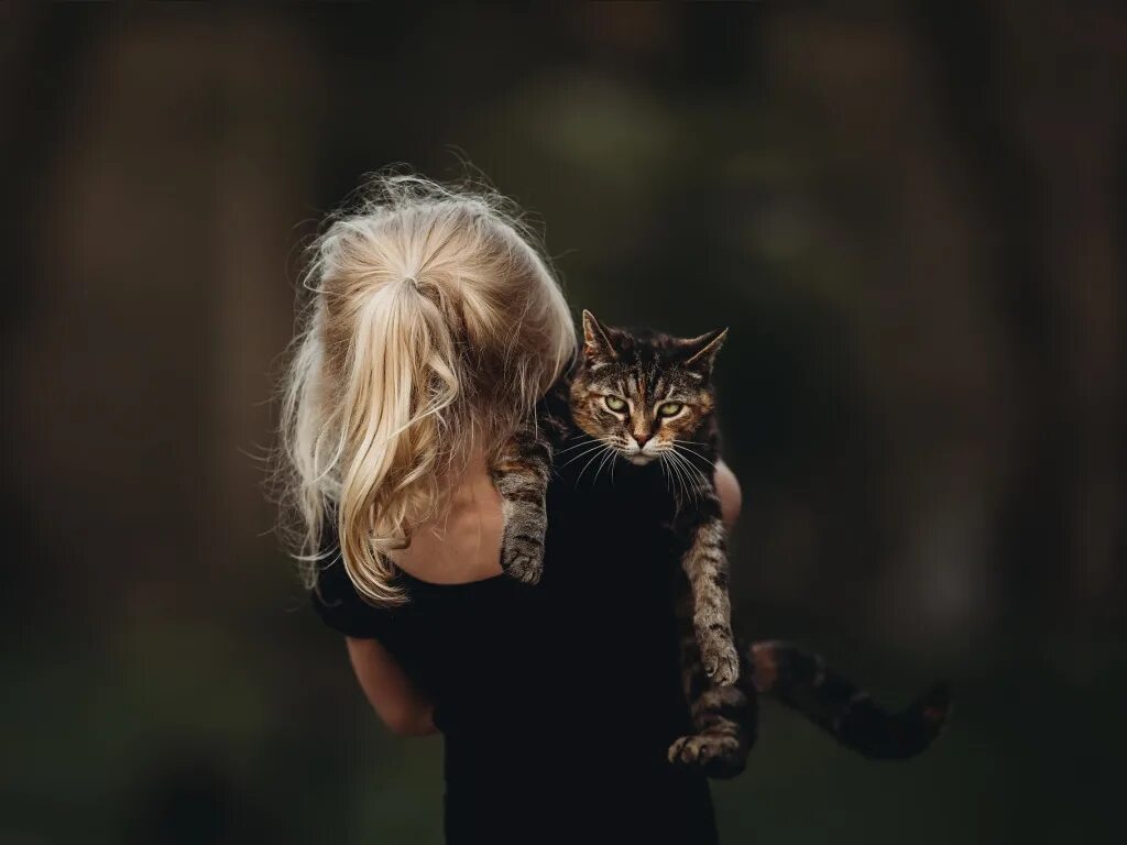 Блондинка и кот. Девушка с котом. девушка с котенком. девушка с кошкой на руках. фотосессия с кошкой.