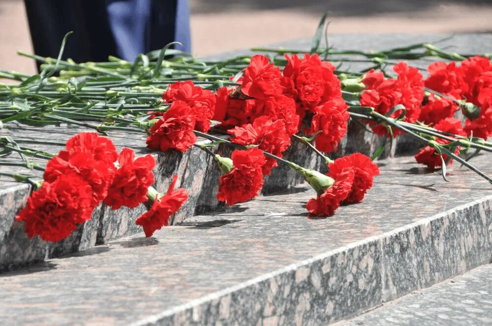 Гвоздики у обелиска. Гвоздики на памятник. Гвоздики цветы. Гвоздики на мемориале.