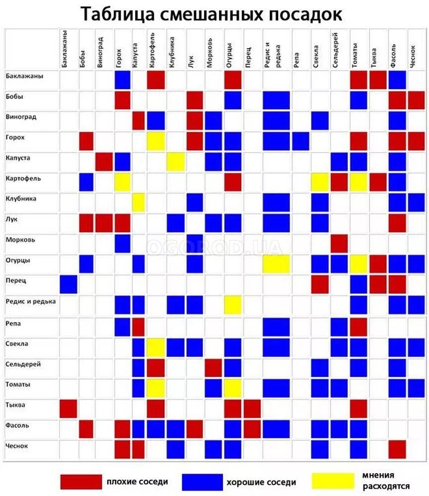 Таблица соседства на грядках. Таблица совмещенных посадок растений на грядке. Совместные посадки овощей на грядке таблица. Соседство овощей на грядках таблица совместимости растений. Таблица совмещения посадки овощей.