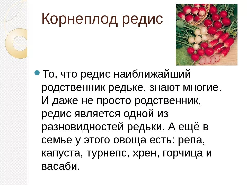 Чем полезна редиска для женщин. Чем полезна редиска. Чем полезен редис. Чем полезен редис для организма. Редис польза.