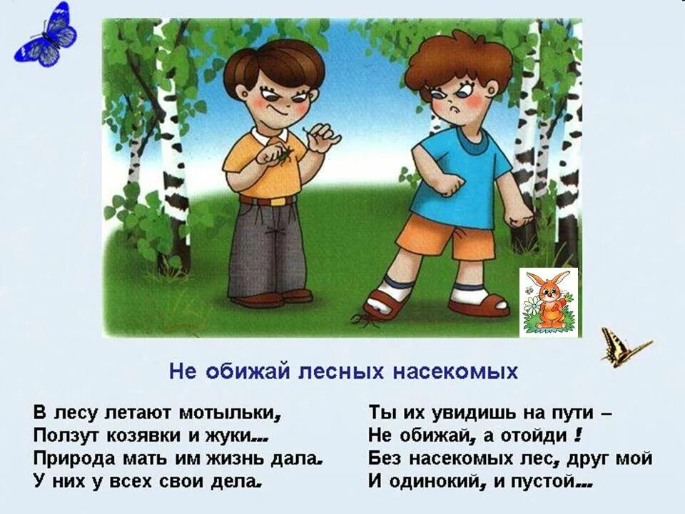 Берегите природу для дошкольников. Правила поведения на природе. правила поведения в лесу. поведение в природе для дошкольников. правилаповедение в лесу.