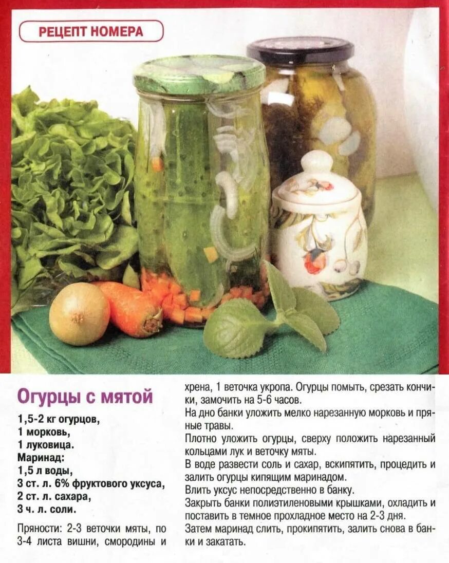 Рецепт крупных огурцов на зиму в банках. Заготовки на зиму. зимние заготовки из овощей. журналы с рецептами заготовок на зиму. заготовки из огурцов.
