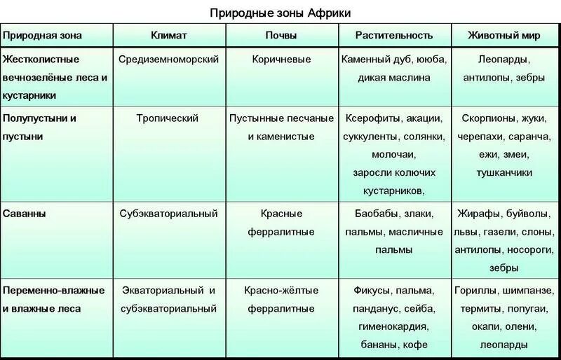 Географическое положение субэкваториальных и экваториальных лесов
