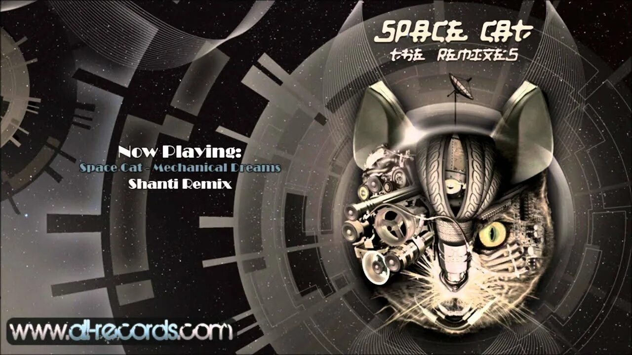 Черный кот ремикс. Виртуальные коты. cat space томск. talamasca - time simulation. space cat бизон.