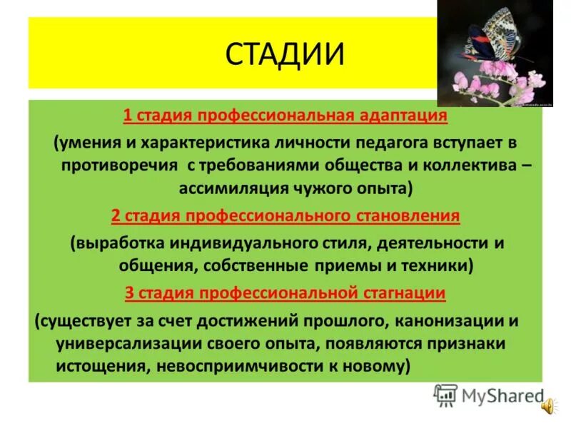 Профессиональная адаптация. Профессиональная адаптация личности. Профессиональная адаптация личности. Трудовой коллектив. Социальная и профессиональная адаптация.