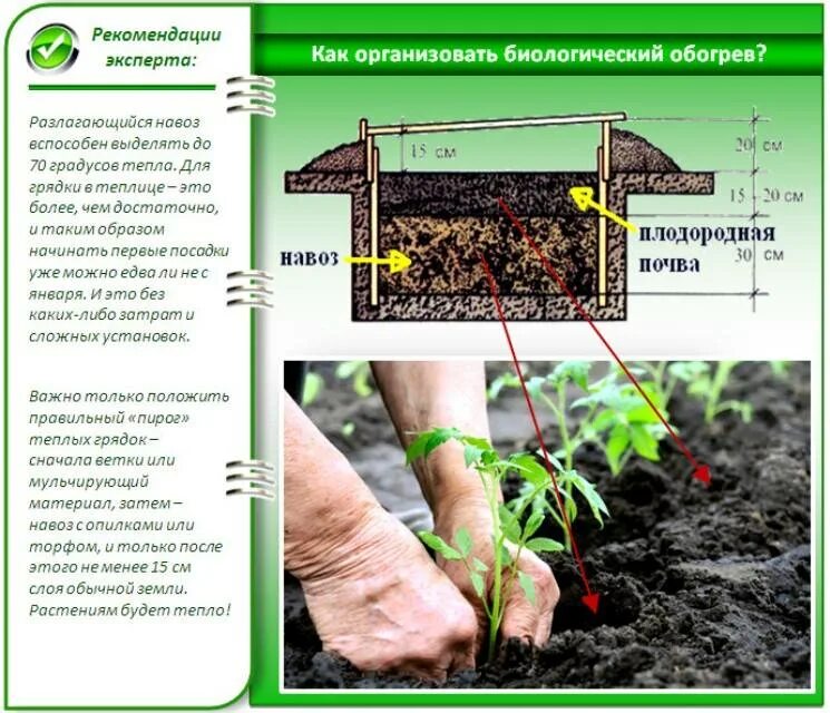 Можно ли заглублять рассаду огурцов при пересадке. Глубина грунта для помидор в теплице. Глубина грунта для огурцов в теплице. Конструкция теплой грядки. Подготовка грунта для огурцов.