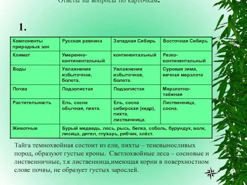 Животный мир природных зон таблица. Природная зона Тайга таблица. Природная зона Тайга таблица 8. Тайга Тип климата таблица. Растения зоны лесов таблица.