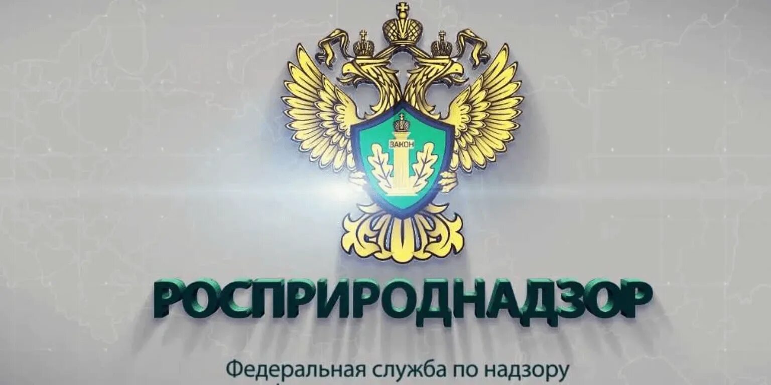 Федеральная служба по надзору в сфере природопользования. Росприроднадзор логотип. Экологический надзор эмблема. Федеральная служба по надзору в сфере природопользования картинка. Управление надзора по краснодарскому краю