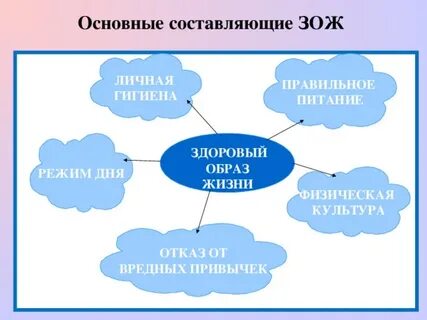 Как составить схему жизни