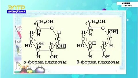 Углеводы видеоурок 10 класс биология