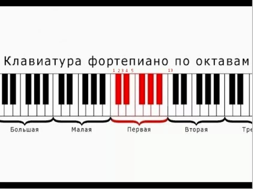 Количество октав. Субконтроктава контроктава большая Октава малая Октава. Октавы на пианино. Октавы на фортепиано. Название октав на фортепиано.