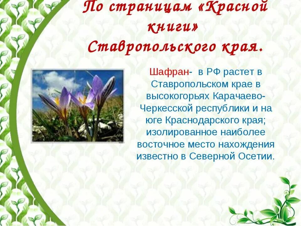 Ставропольская красная книга растений