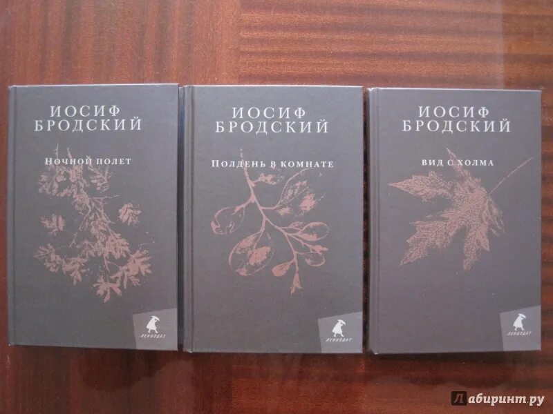 Иосиф Бродский книги. Бродский вид с холма. Сборники Бродского вид с холма. Полдень в комнате Бродский. Бродский сборник стихов