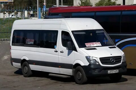 Луидор ростов на дону