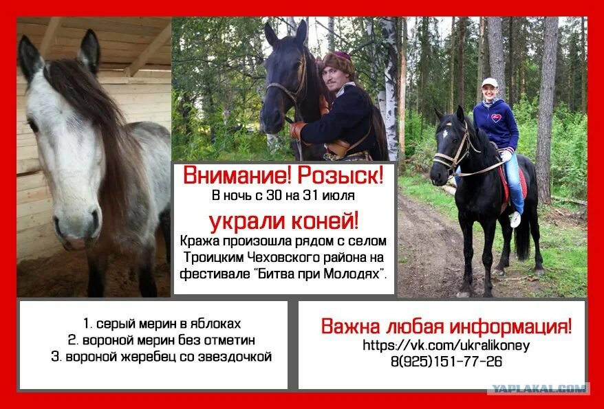 Ворует коня. Песни выкрали коня. Цыгане воруют лошадей. Украли коня. Цыгане выкрали коня.