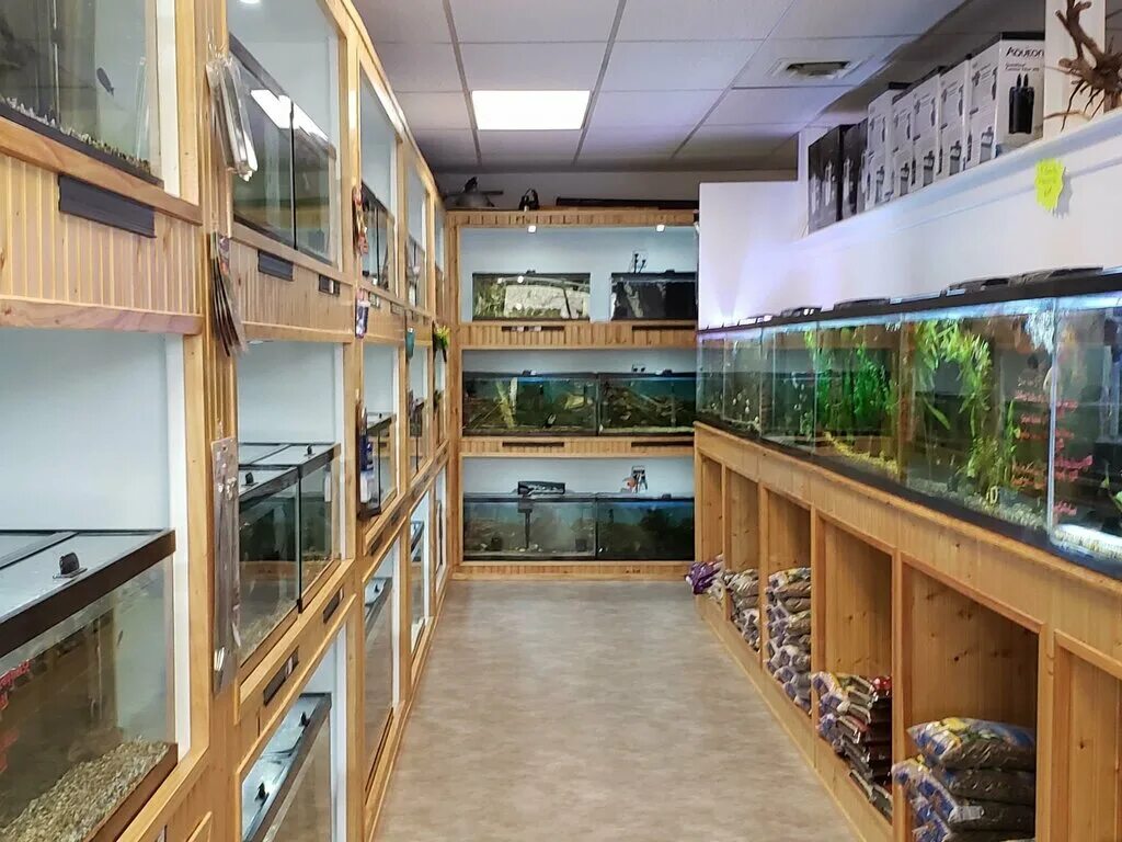 зоомагазин. товары для животных. магазин животных. интерьер зоомагазина. магазины для животных в америке.