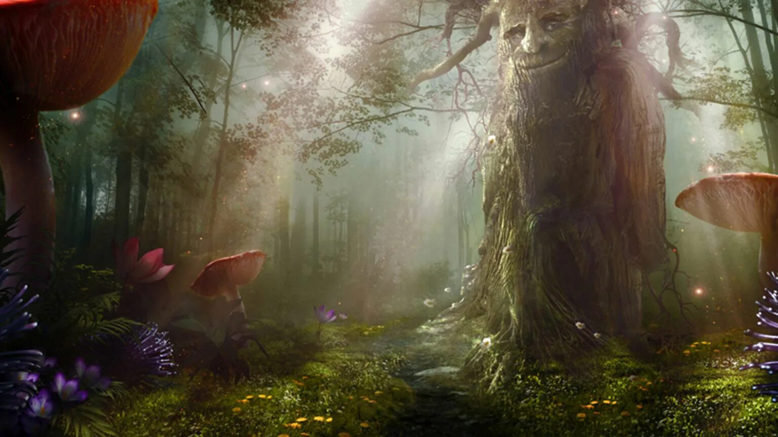 Заколдованные картинки. «Зачарованный лес» («Enchanted Forest»). Зачарованный лес (чудесный лес) (1986). Алиса в стране чудес таинственный лес.