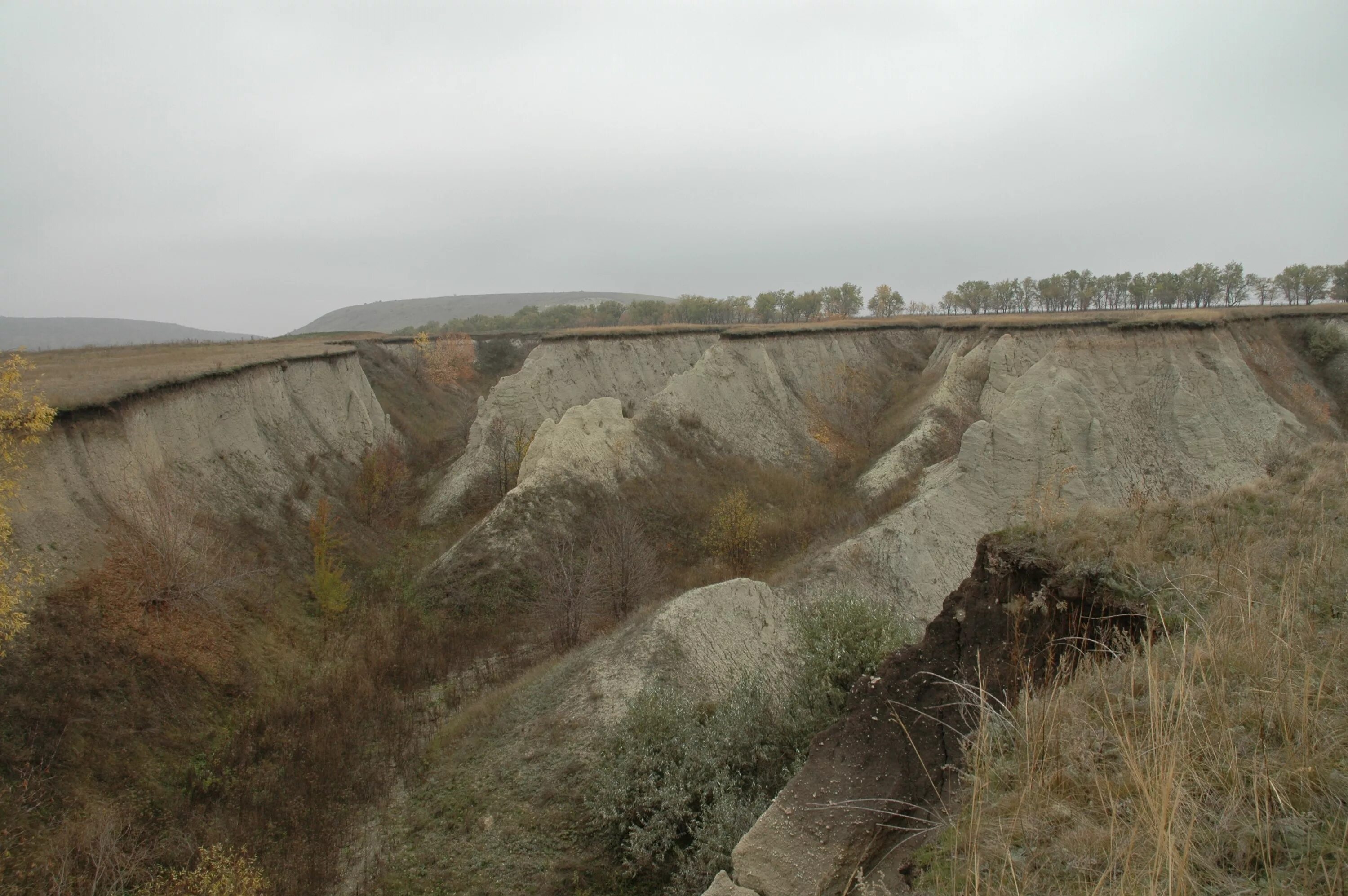 курган пологи