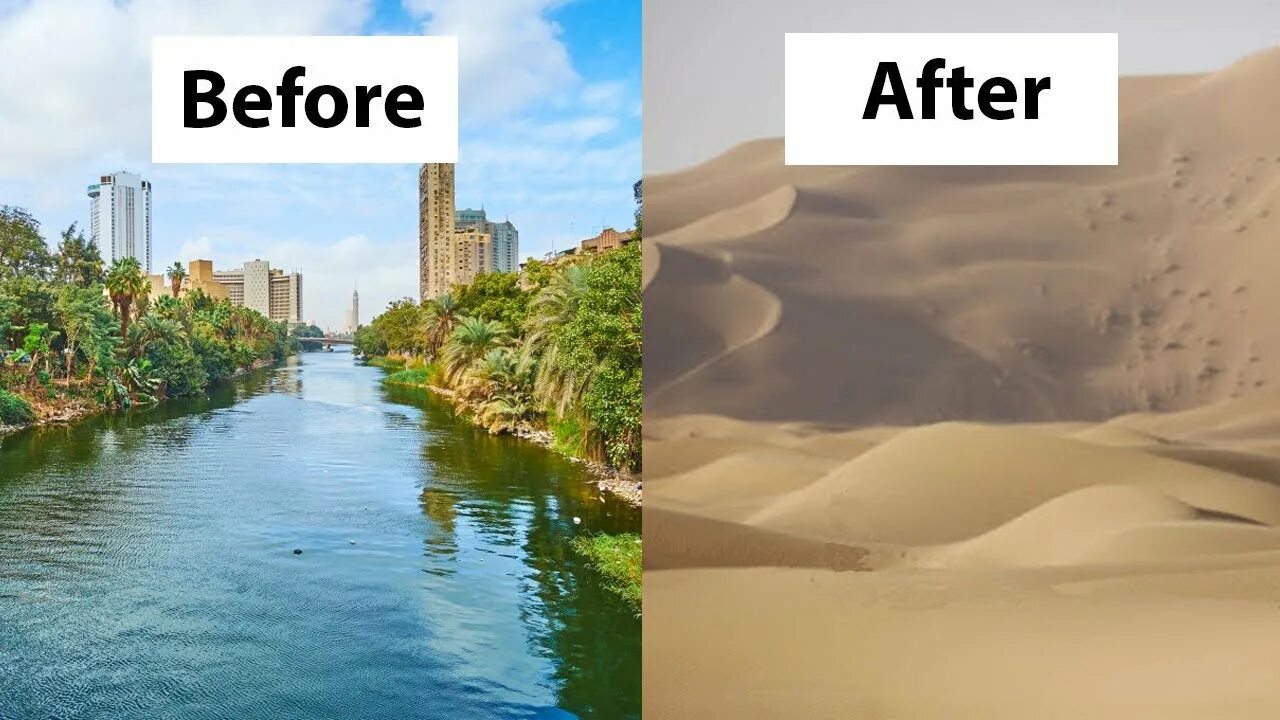 The river nile into the. Зеленая река египет. nile river of the egyptians.